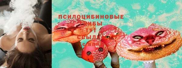 дмт Бронницы